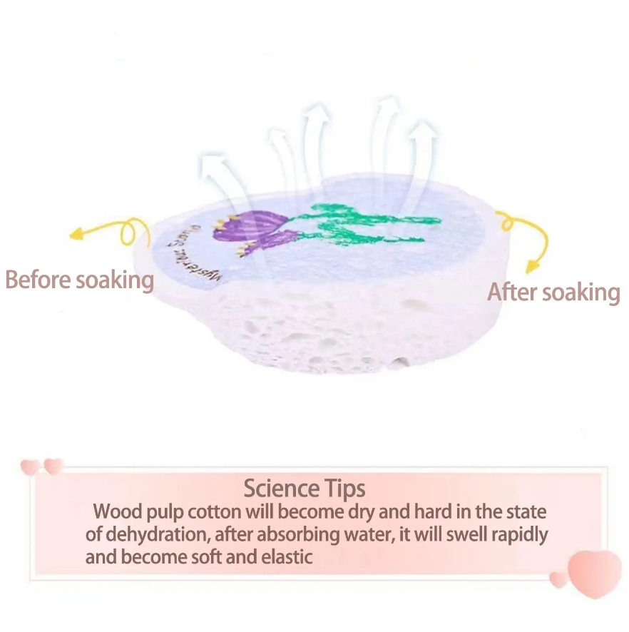 2pcs Kitchen Cleaning Sponges for Dishes Clean Super Absorbent Multiple uses bath cleaning